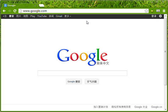 實(shí)用技巧：Google 搜索打不開(kāi)的解決方法