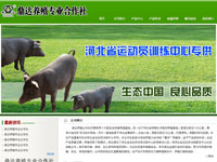 鼎達(dá)養(yǎng)殖專業(yè)合作社