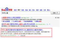 SEO網(wǎng)站優(yōu)化案例 - 陜西公墓