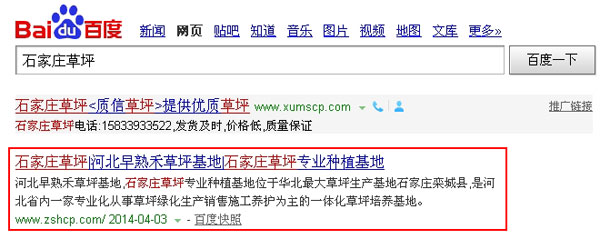 SEO網(wǎng)站優(yōu)化案例 - 石家莊草坪