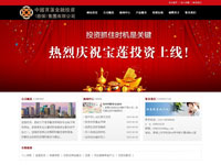 中國寶蓮金融投資（擔(dān)保）集團有限公司