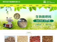 河北龍新生物質(zhì)燃料有限公司