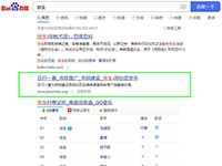 SEO網(wǎng)站優(yōu)化案例 - 放生