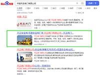 SEO網(wǎng)站優(yōu)化案例 - 中國(guó)天正閥門有限公司